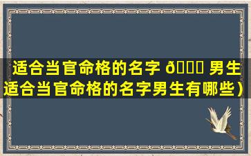 适合当官命格的名字 🐟 男生（适合当官命格的名字男生有哪些）